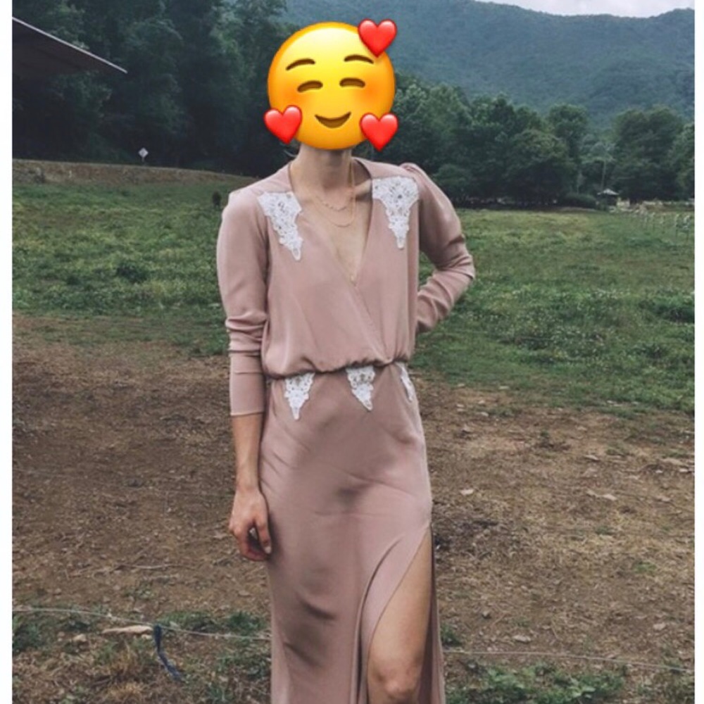 Rare Alabama gown in dusty rose - Picture 5 of 5